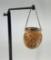 Coconut Shell Coin Purse