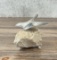 Hoselton Canadian Goose in Flight Sculpture