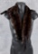 Mink Fur Stole
