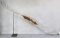 Shakespeare Wonderbow The Custer X-22 Recurve Bow