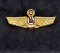 Rare Philippine Airlines Pilot Wings