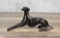 Greyhound Dog Bronze