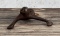 Antique Cast Iron Garden Sprinkler