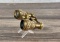 Antique French Gold Filled Opera Glasses