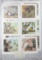 Eric Shepherd Bird Print Set