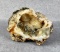 Prospector Miner on Geode