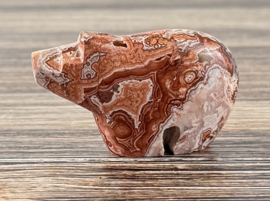 Picture Jasper Bear Fetish