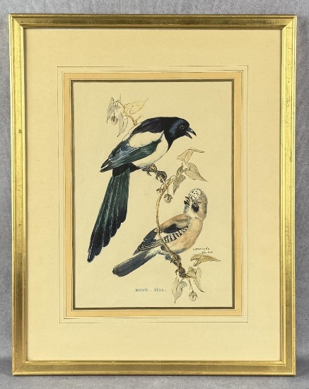 Magpie and Jay Bird Watercolor Painting