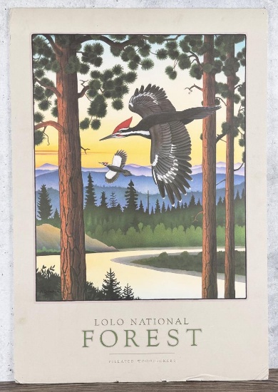 Monte Dolack Lolo National Forest Print