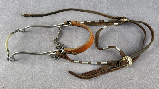 Cowboy Headstall and Horse Bit