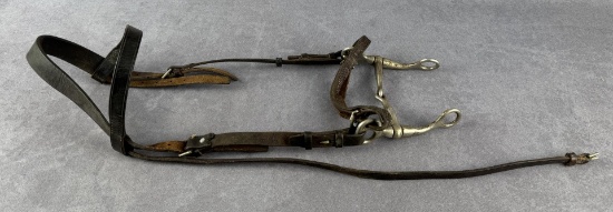 Cowboy Headstall and Horse Bit