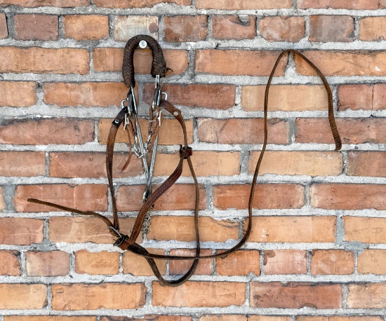 Cowboy Headstall and Horse Bit