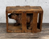 Yellowstone National Park Bear in Box Souvenir