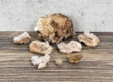 Collection of Desert Agate Mineral Specimens