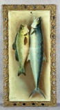 Victorian Henri LeRoy Fish Print