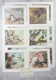 Eric Shepherd Bird Print Set