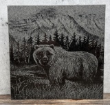 Allen Jimmerson Bear Coaster