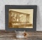 Taxidermy Birds in Display Cases Cabinet Photo