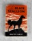 The Black Stallion