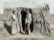L.A. Huffman Fort Berthold Leggings Indian Photo