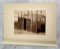 Edward Curtis Photogravure Mohave Home