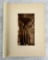 Edward Curtis Photogravure Fruit Gatherer
