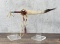Plains Native American Indian Medicine Stick