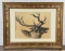 Olaf Carl Seltzer Stag Charcoal Drawing