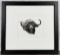 William Gamradt Cape Buffalo Etching