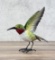Decorative Tin Metal Garden Hummingbird