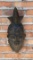 Ivory Coast Baule Mask