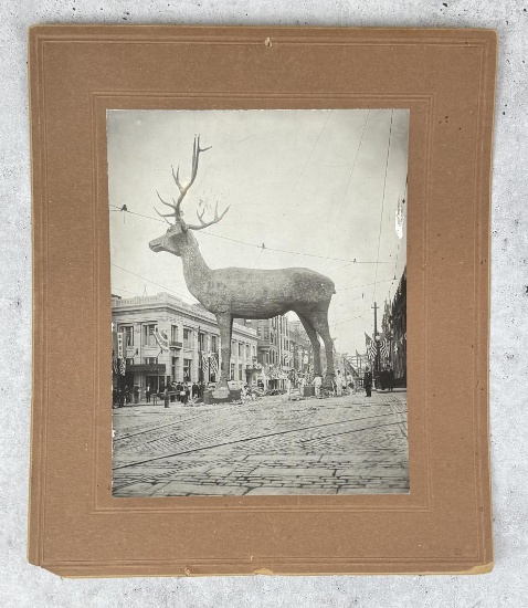 1916 Butte Montana Giant Elk Photo