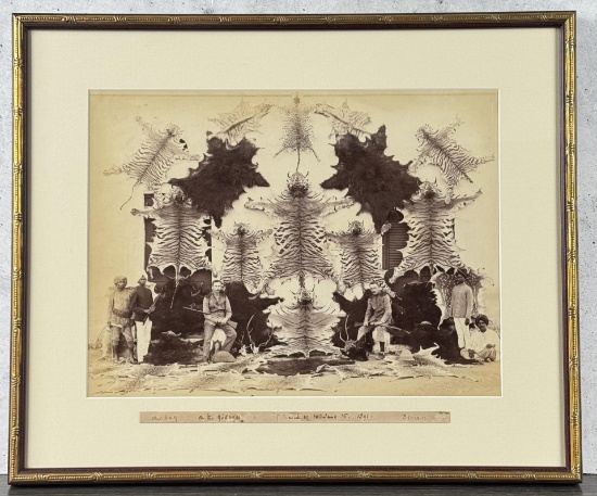Colonel A.E. Stewart India Tiger Hunt Photo
