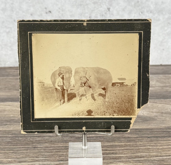Man with Elephants Traveling Circus Photo