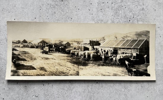Dillon Montana 1883 Panoramic Photo