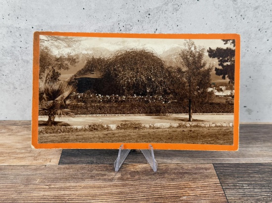 Jeanne Smith Carr Carmelita Cabinet Photo