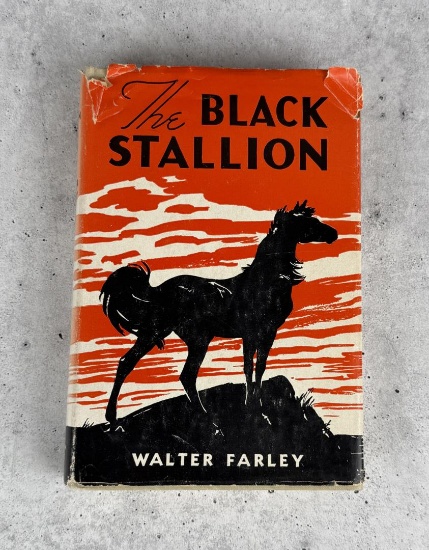 The Black Stallion