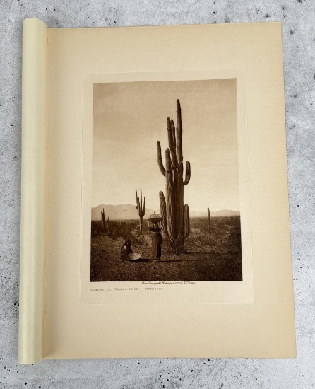 Edward Curtis Photogravure Cactus Fruit Maricopa