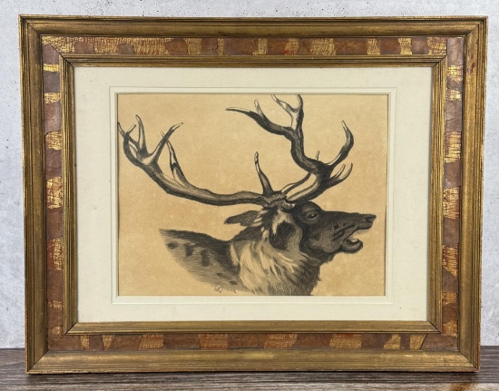 Olaf Carl Seltzer Stag Charcoal Drawing
