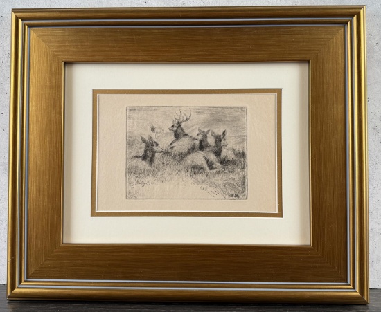 Alexander Phimister Proctor Bull Elk Etching
