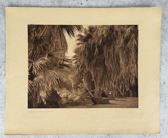 Edward Curtis Photogravure Under the Palms