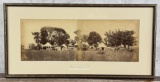 Colonel A.E. Stewart India Tiger Hunt Photo
