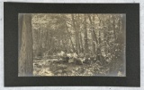 Mammoth Cabinet Photo Klamath Falls Oregon
