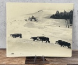 Charles Belden Pitchfork Ranch Wyoming Photo