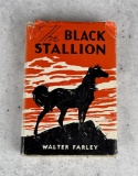 The Black Stallion