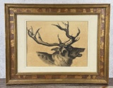 Olaf Carl Seltzer Stag Charcoal Drawing