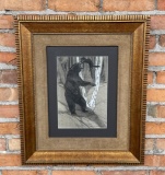 Charles Livingston Bull Black Bear Illustration