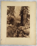 Edward Curtis Photogravure Andres Canon