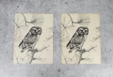 Ron Jenkins Owl Prints