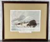 Dying Buffalo Bull in Snow Drift George Catlin